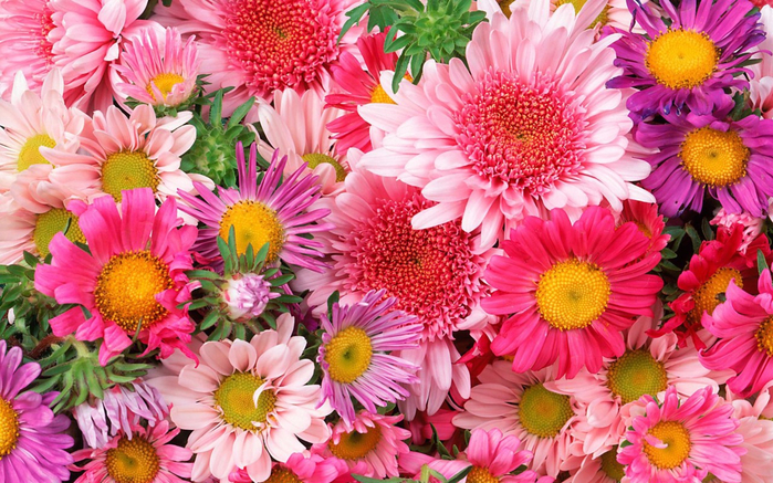 International_Womens_Day_Beautiful_flowers_on_March_8_014455_ (700x437, 510Kb)